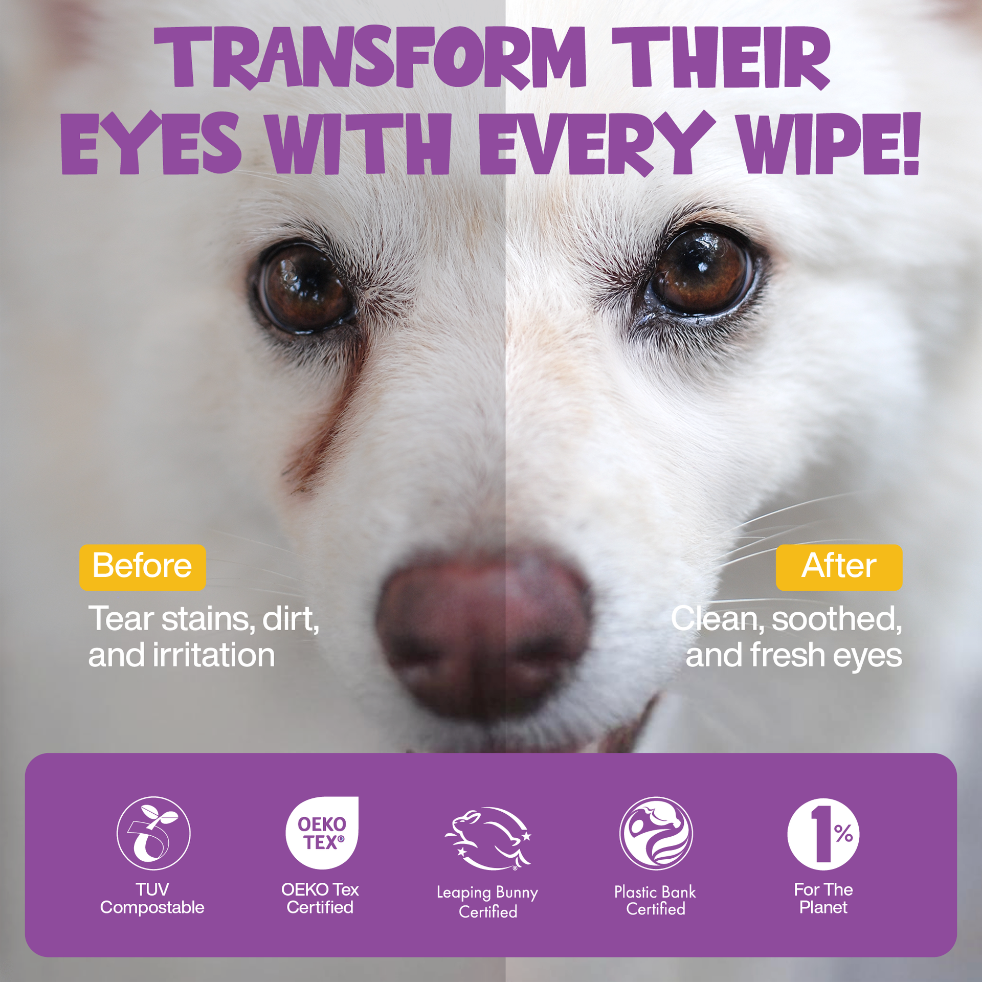 Roofus Dog Eye Wipes being gently used on a dog's eye area showing the cleaning process