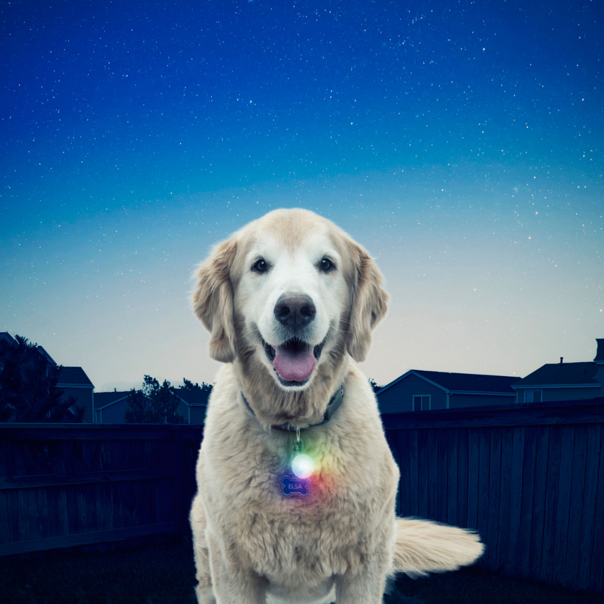 Nite Ize | SpotLit Collar Light
