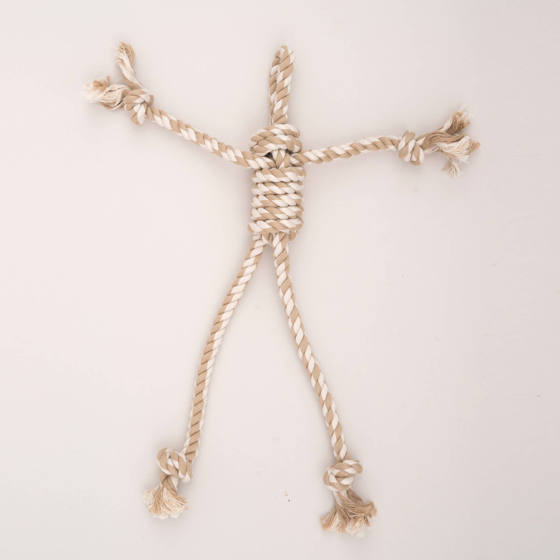 HuggleHounds| Birch Bunny X-Brace™ Toy