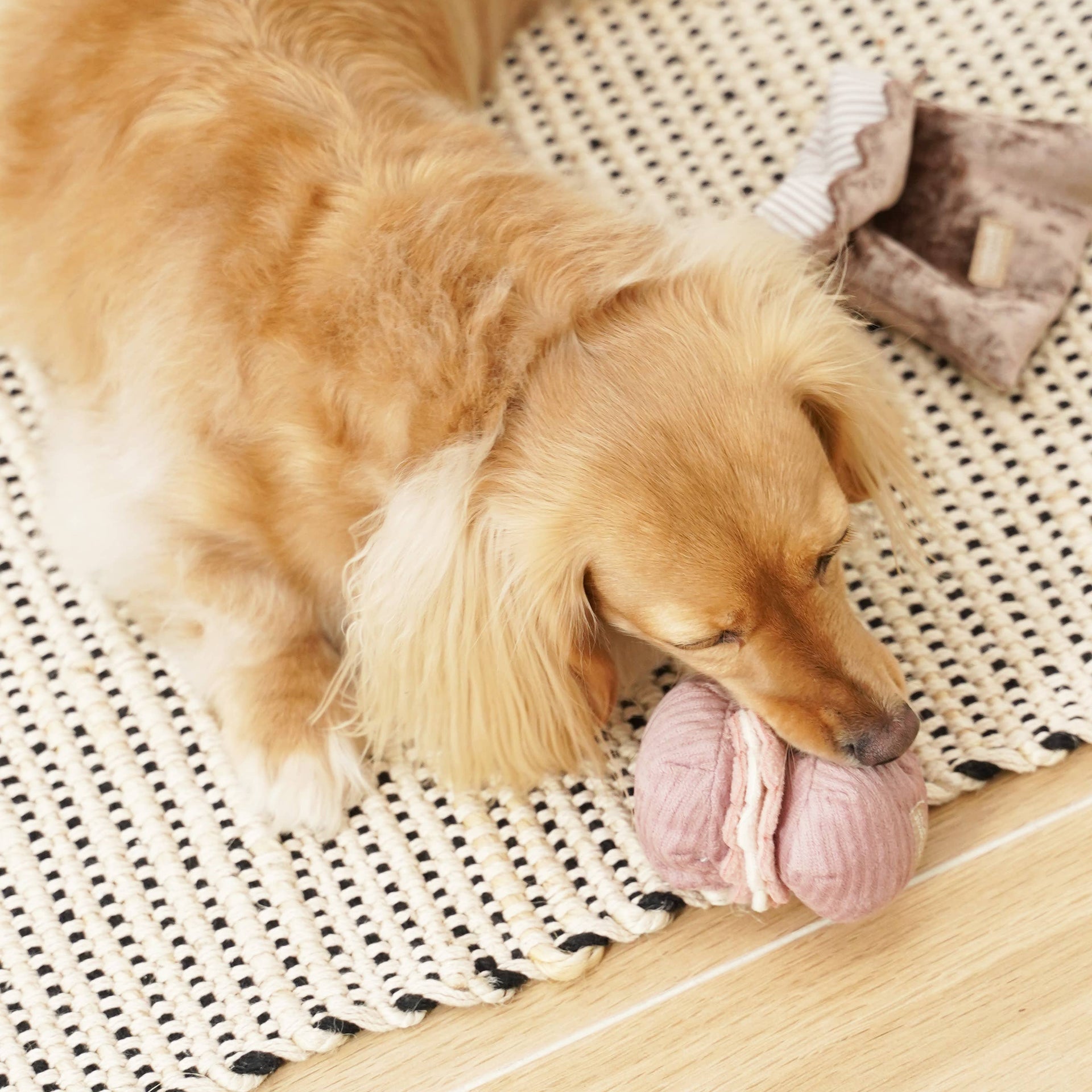 Lambwolf Collective Petite Two enrichment toy set showing French pastry-inspired madeleine and croissant dog toys with snuffle textures.
