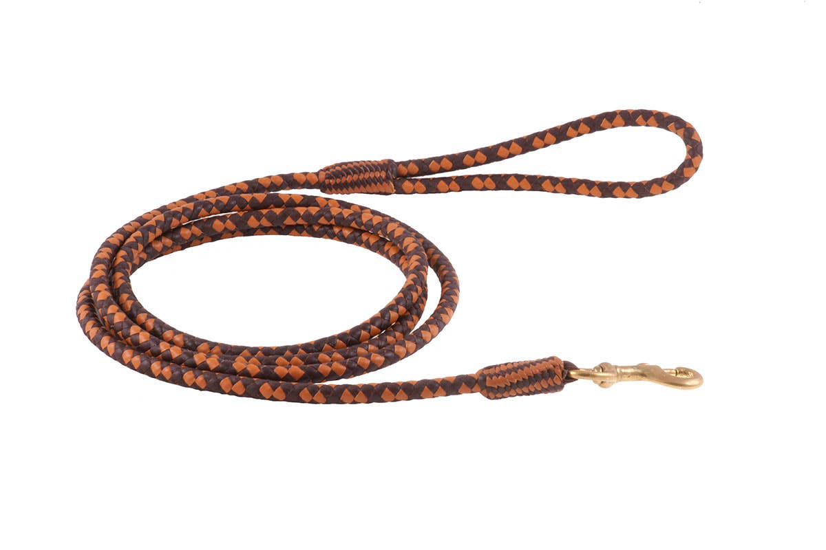 Close-up detail of Alvalley braided leather snap lead showing intricate hand-braided craftsmanship and leather texture.