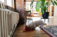 ADC Houndstone & Co. Silicone Pet Food Mat shown in detailed view highlighting non-slip textured surface design