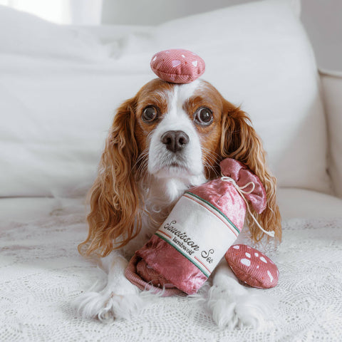Lambwolf Collective SAUCISSON enrichment toy showing crinkly textured exterior and hidden compartments for dog foraging play.