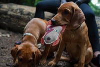 Cub | Eco Dog Toy | Starman