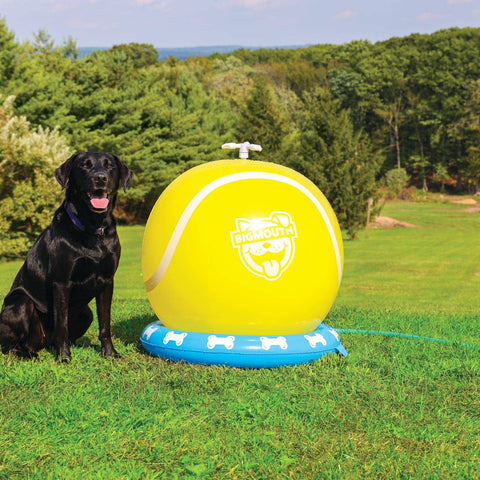 BigMouth Pets Tennis Ball Sprinkler