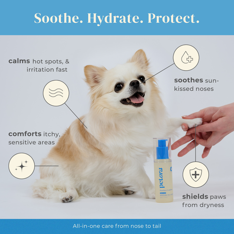 Petora | Nose-to-Tail Soothing Jelly Serum