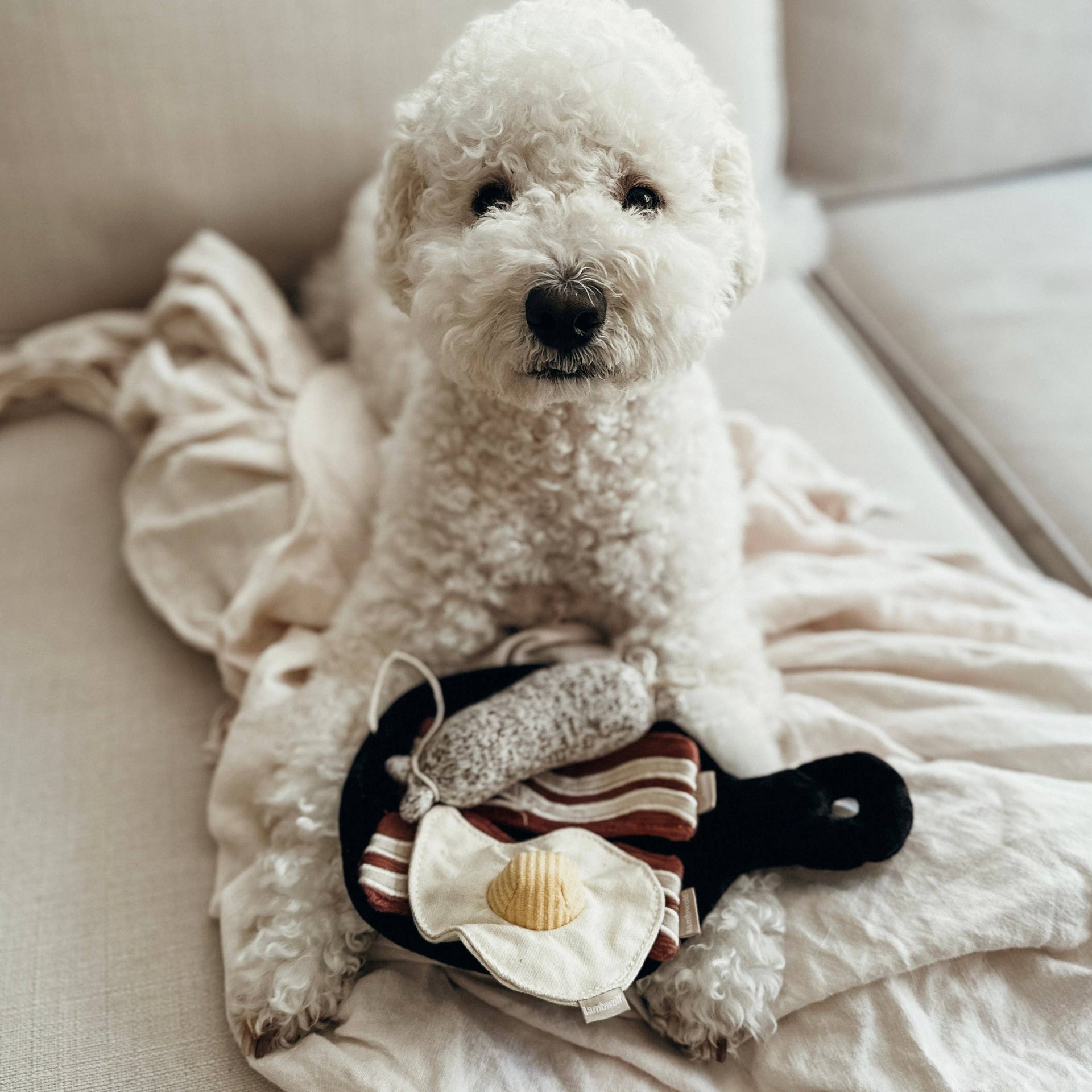 Lambwolf Collective Bfast Set snuffle toy breakfast set showing multiple textured enrichment components for dogs