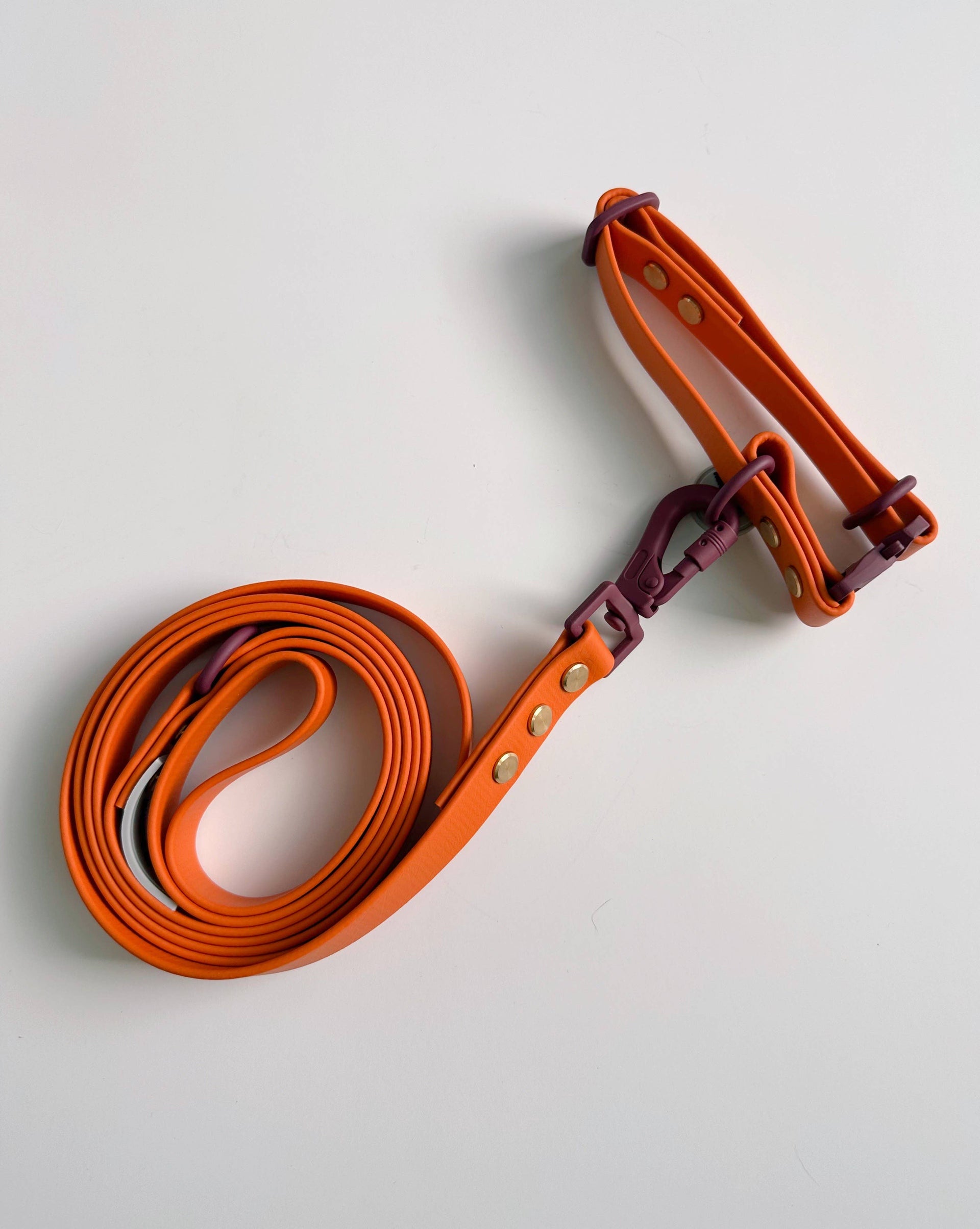 Hund & Shore Pumpkin Waterproof Collar showing orange and burgundy autumn colors with hardware detail view.