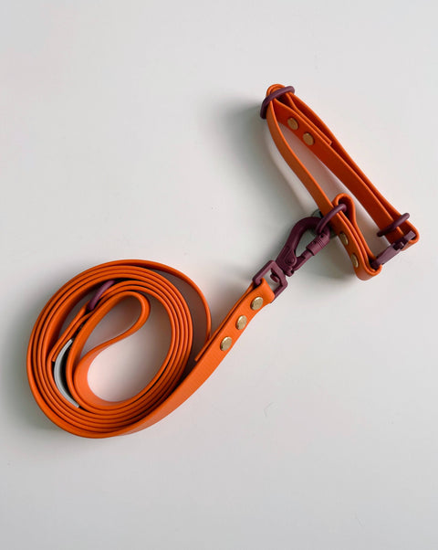 Hund & Shore Pumpkin Waterproof Collar showing orange and burgundy autumn colors with hardware detail view.