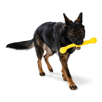 West Paw | Toys | Zwig®