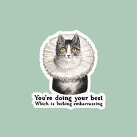 Cat sticker with text 'You're doing your best Which is fucking embarrassing' on a brown background