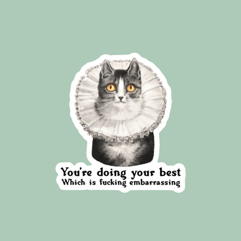 Cat sticker with text 'You're doing your best Which is fucking embarrassing' on a brown background
