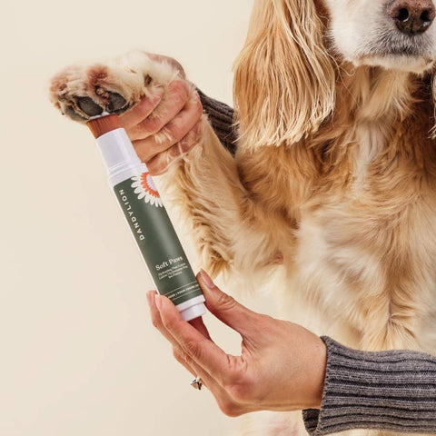 Dandylion | Soft Paws Hydrating Paw Lotion