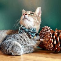 Made By Cleo Eden green cat collar displayed flat showing breakaway safety buckle and collar pattern details