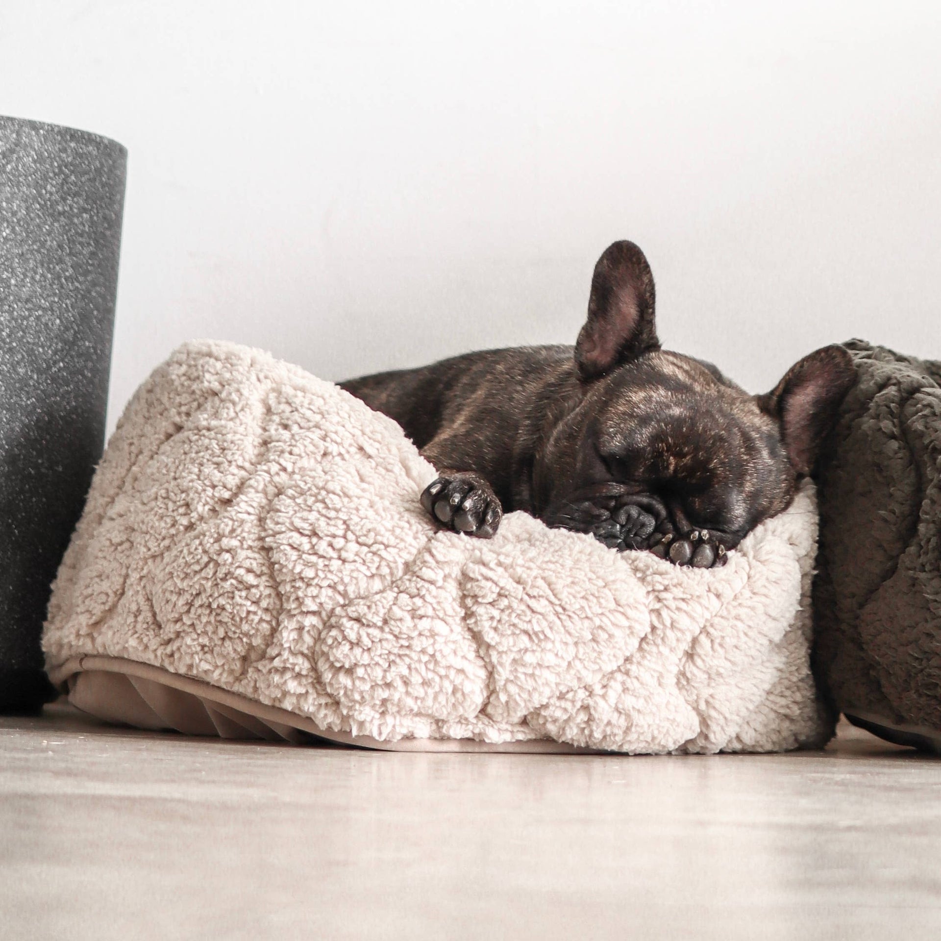 Lambwolf | Taart Pet Bed