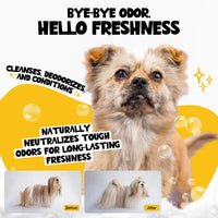Roofus Coconut Kisses dog shampoo bottle being used during a bath time grooming session.