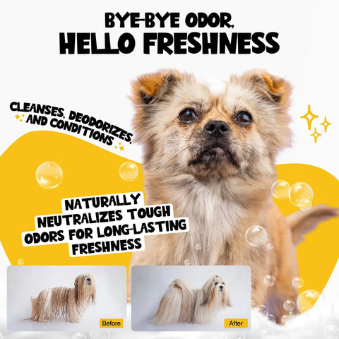Roofus Coconut Kisses dog shampoo bottle being used during a bath time grooming session.