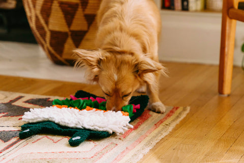 ZippyPaws Snufflerz Roll Sushi foraging mat shown unrolled displaying colorful fleece strips and sushi-themed design details.