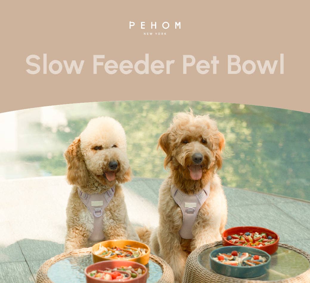PEHOM Wave Slow Feeder shown in use with a dog eating from the ridged bowl.