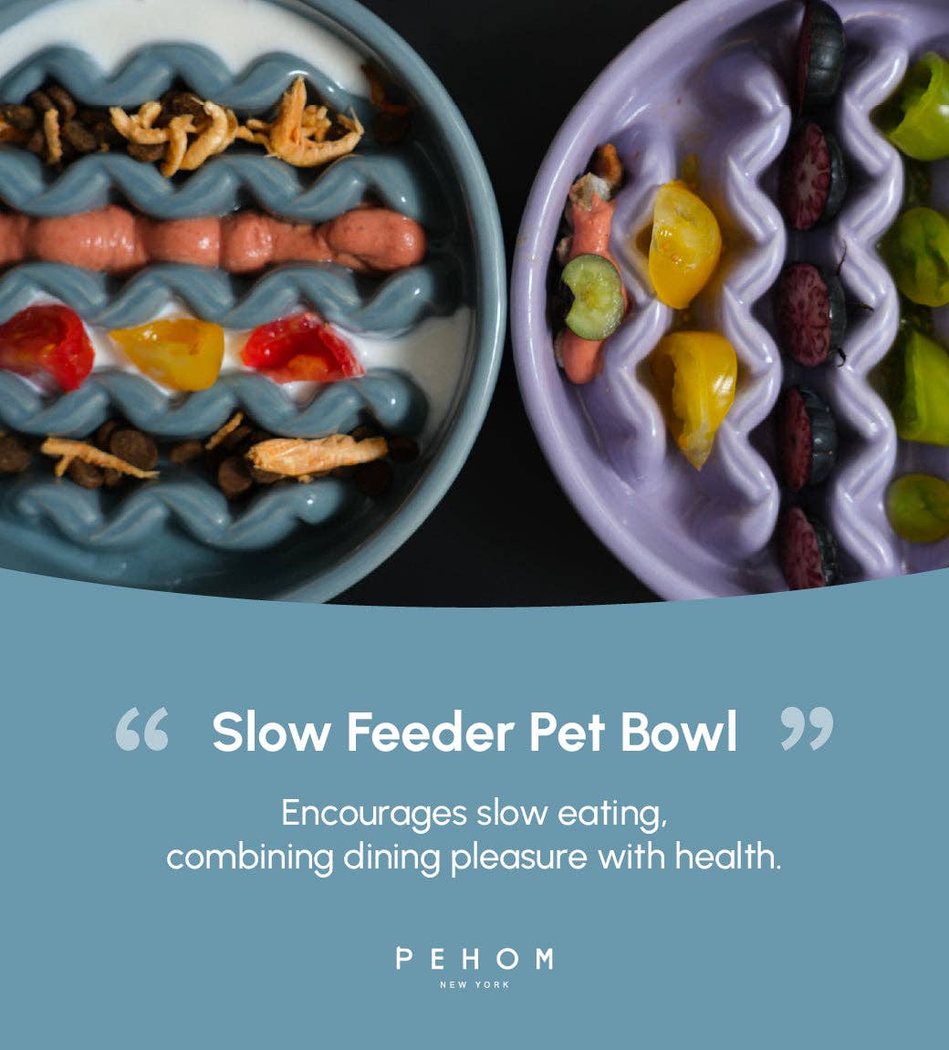 PEHOM Macaroni Slow Feeder bowl shown from an alternate angle highlighting its unique ridged interior design.