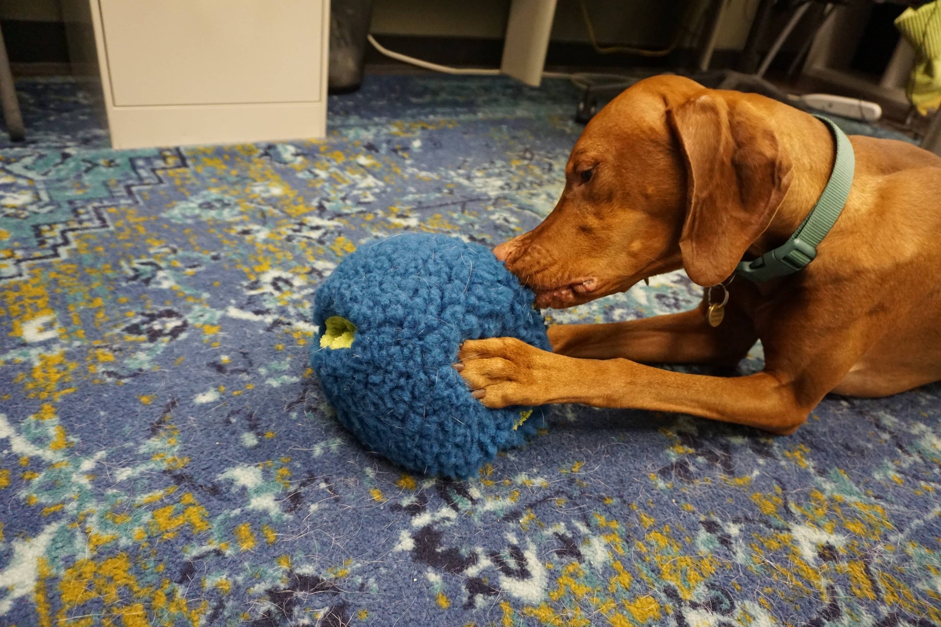 HuggleGroup | HuggleFleece | Treat Trap