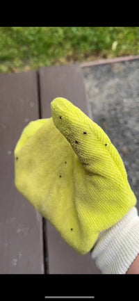TiCK MiTT tick remover being used on a dog outdoors to demonstrate the mitt's tick prevention application