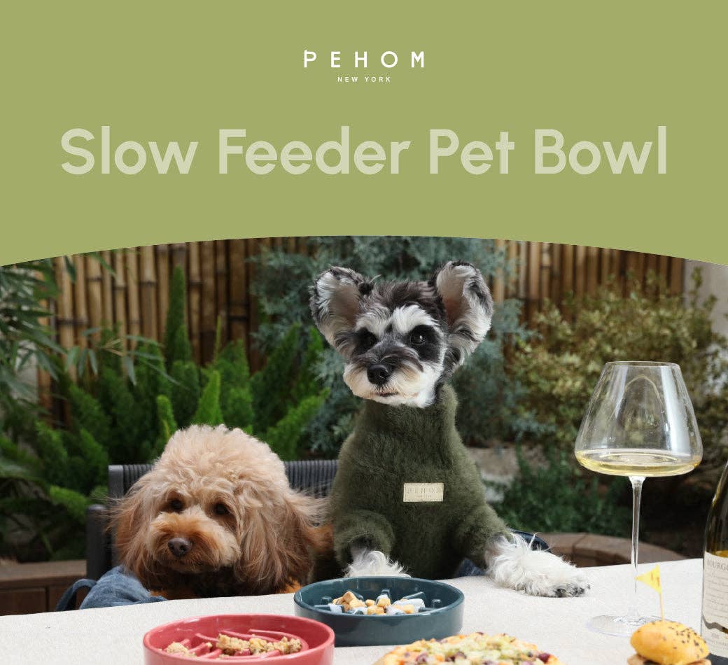 Pehom Spark slow feeder bowl shown in use, helping a dog eat at a healthier pace.