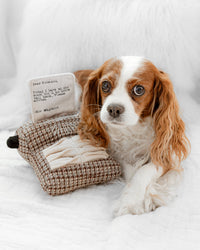 Dog playing with Lambwolf Collective Typewriter snuffle toy, demonstrating the interactive enrichment features in action.