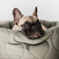 Lambwolf | Taart Pet Bed
