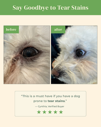 Petora | Pet Facial & Eye Comb