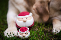 HuggleGroup | Santa Ruff-Tex® Ball