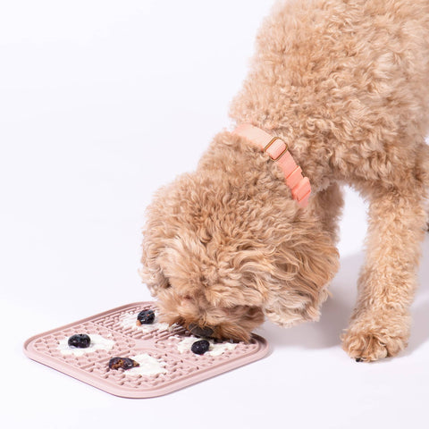 Awoo SMOOSH Lick Mat showing detailed view of four distinct textured zones for holding treats and spreads.