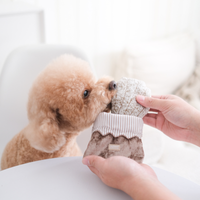 Lambwolf Collective Petite Two enrichment toy set showing madeleine and croissant dog toys with snuffle textures.