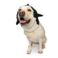 Orca Dog Snood
