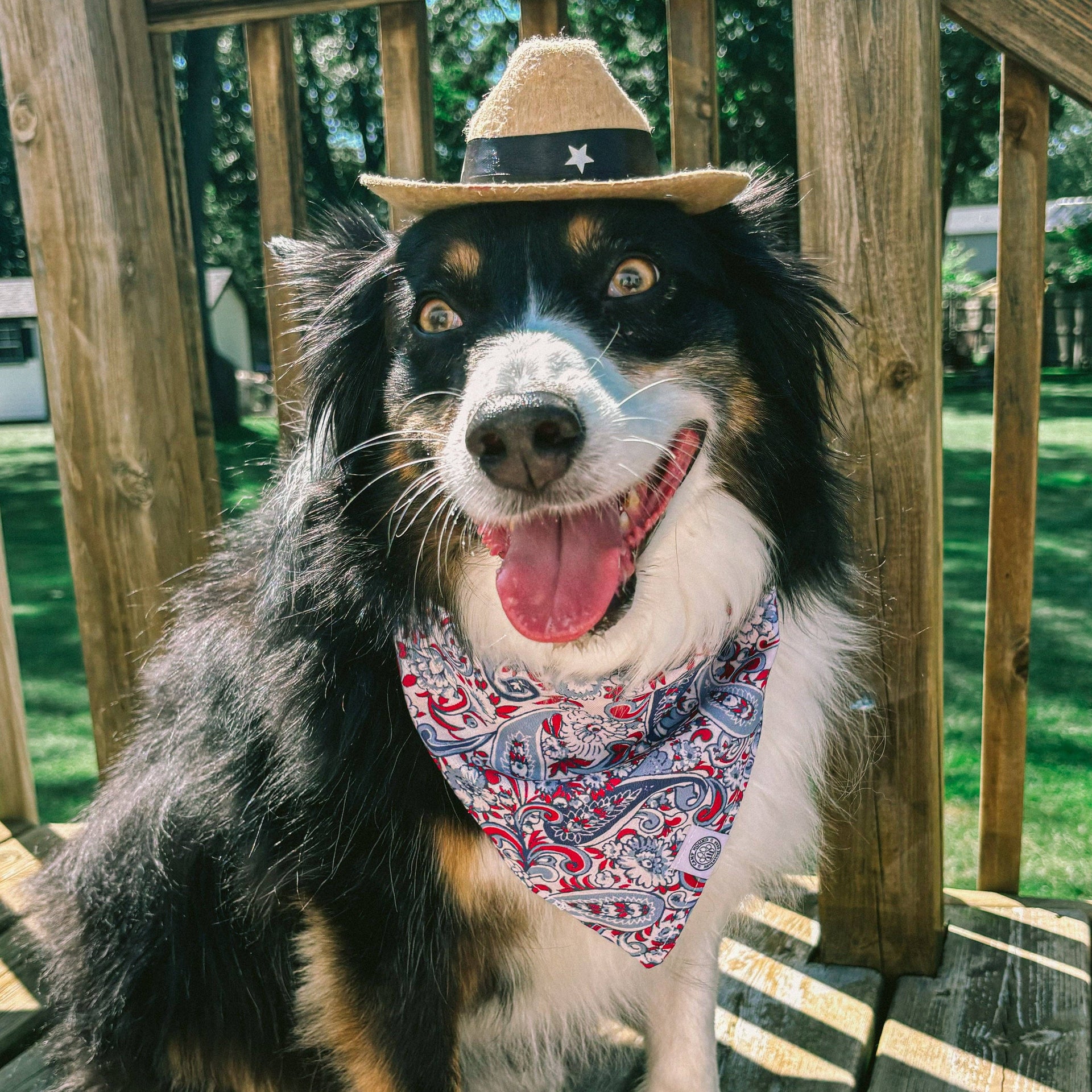 Camp Hound Paisley Dog Bandana detail view showing bohemian Western cotton print pattern and fabric texture.