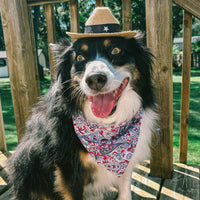 Camp Hound Paisley Dog Bandana detail view showing bohemian Western cotton print pattern and fabric texture.