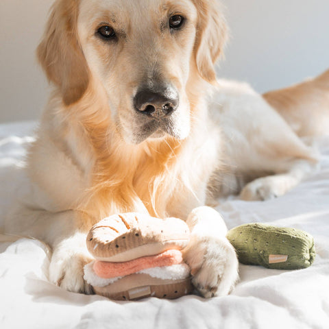 Lambwolf Collective Bagel + Pickle Enrichment Toy showing textured plush bagel with removable pickle insert for dogs.
