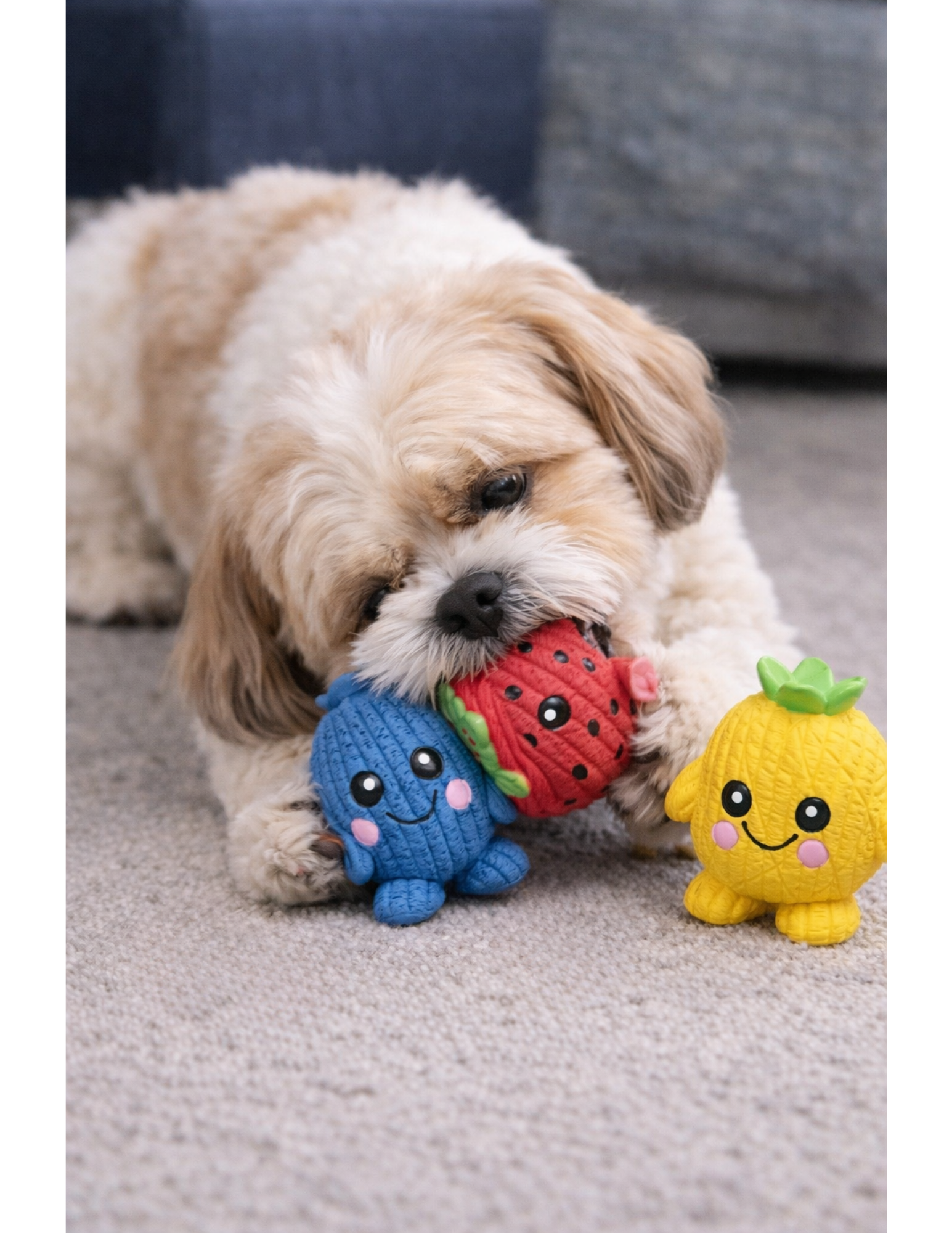 Three colorful fruit-themed Fruitie Cuties Foodies Ruff-Tex dog toys displayed together in packaging or grouped arrangement.