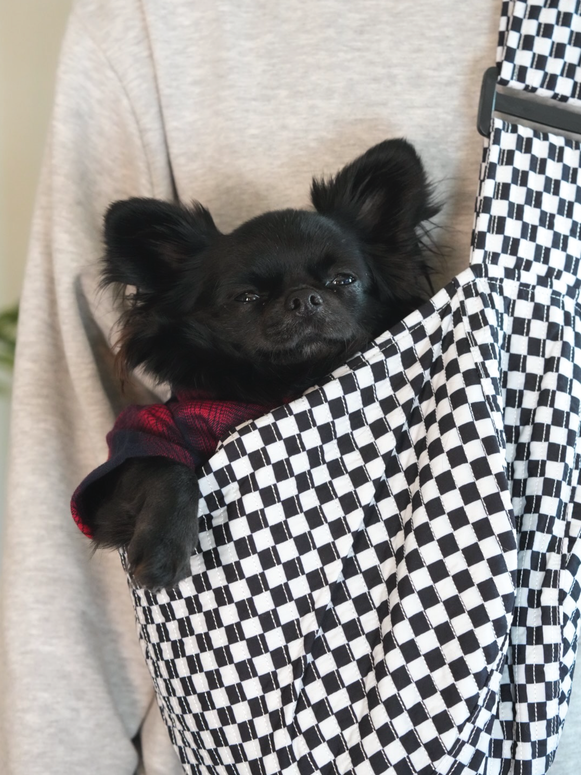 Pet Sling | Black & White Check