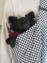 Pet Sling | Black & White Check