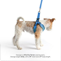 Gooby Escape Free Harness in soft pastel tones shown from a detailed close-up angle.