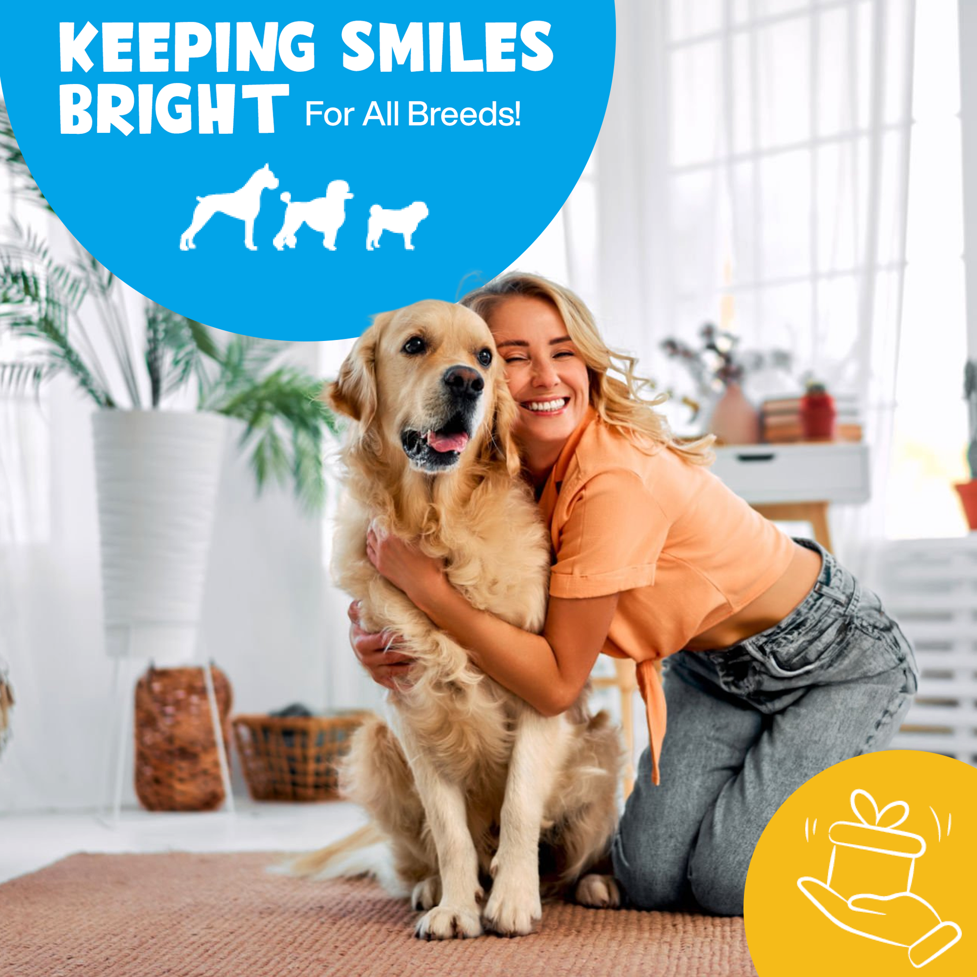 Roofus | Dental Wipes | 60ct