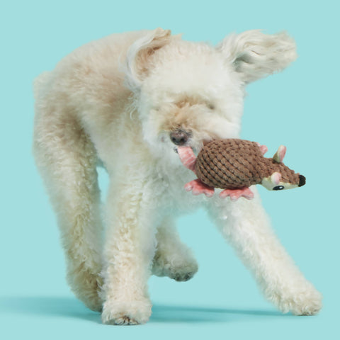 BARK Armie Dillo armadillo dog toy showing textured fabric details and multi-sensory design elements.