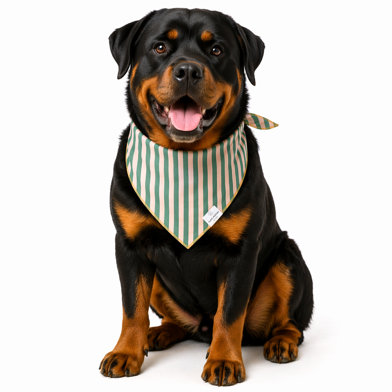 Close-up detail of rufflifepals Cabana Stripe dog bandana showing colorful striped fabric texture and pattern.