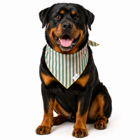 Close-up detail of rufflifepals Cabana Stripe dog bandana showing colorful striped fabric texture and pattern.