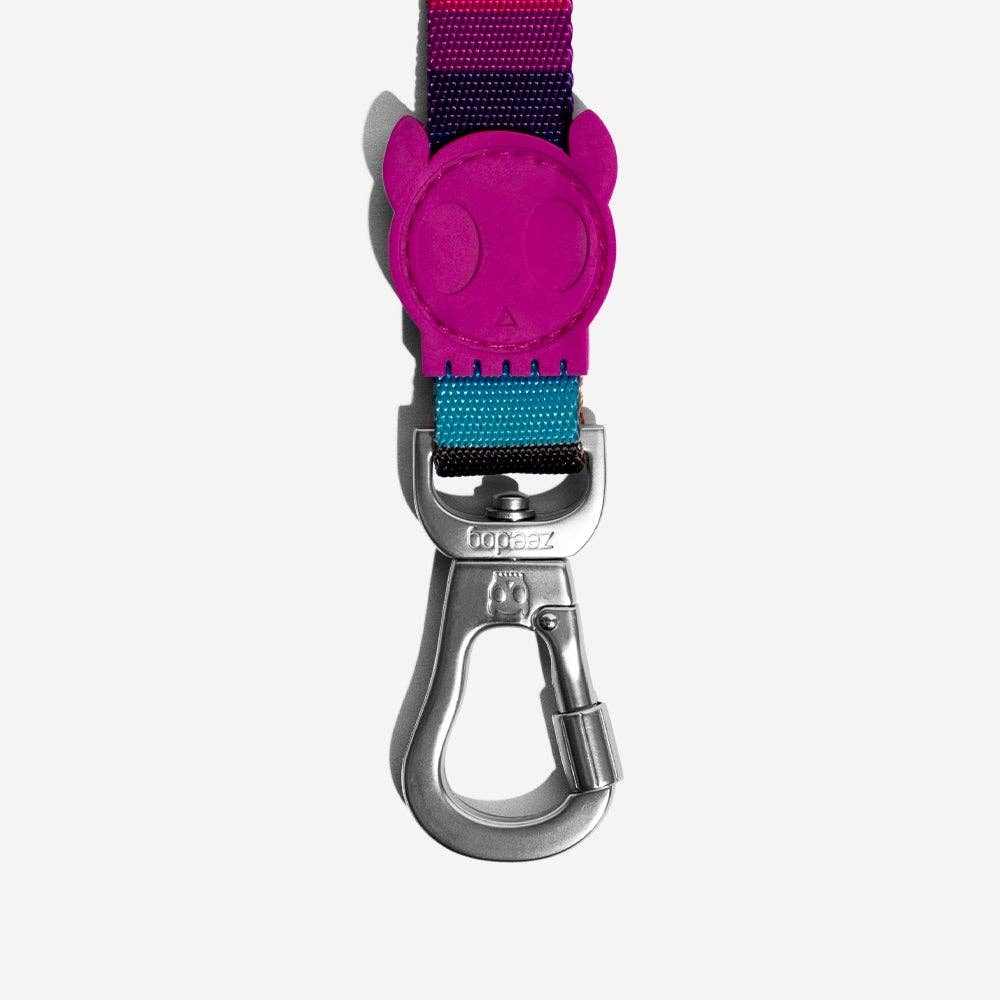 Zee.Dog | Leash | Prisma