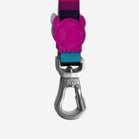 Zee.Dog | Leash | Prisma