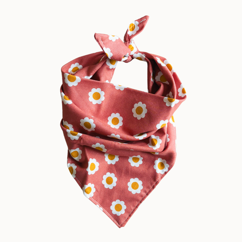 Daisy Dog Bandana | Retro Flower Spring Pink Pet Accessory