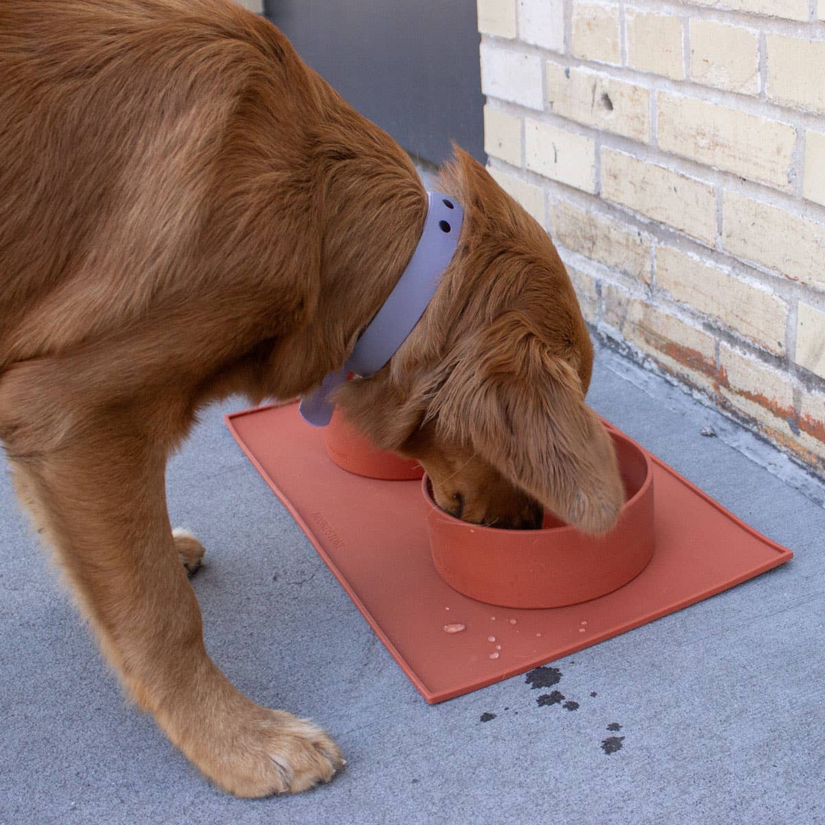 Close-up detail of ADC Houndstone & Co. Silicone Pet Food Mat's textured non-slip surface and raised edges