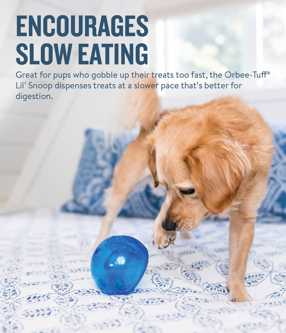 Planet Dog | Interactive Toy | Lil Snoop